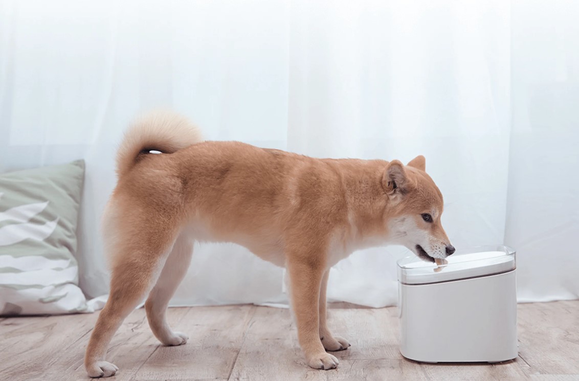 Купить Диспенсер воды для животных Xiaomi Smart Pet Fountain (BHR6161EU)