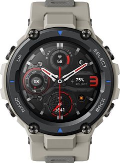 Умные часы Xiaomi Amazfit T-Rex Pro Grey (A2013)